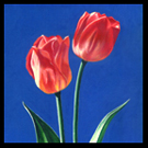 Two Tulips Acrylic Painting