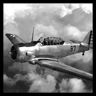 Mr Mitchell flying WW2 Airplane Photo Restoration